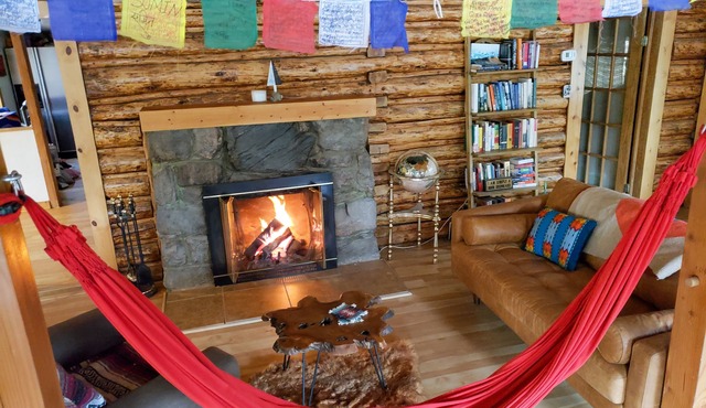 Cozy Mountain Cabin ☆ Hot tub ☆ Work From Home and Pet Friendly