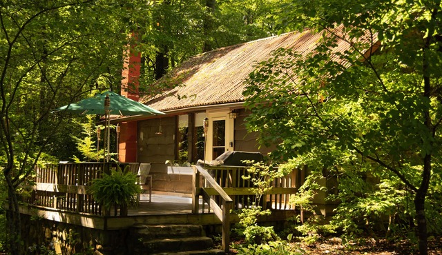 Cozy mountain cabin bordering national forest
