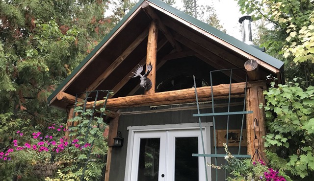 Cozy Mountain Cabin/hot tub