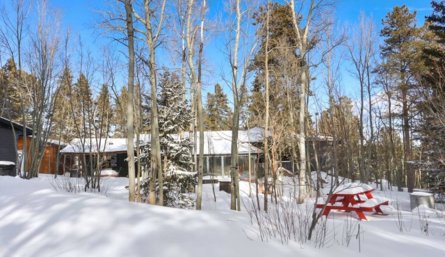Cozy mountain cabin close to hiking/biking, skiing, casinos, good food and more!
