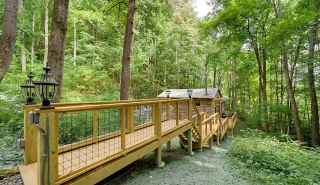 Cozy Mountain Cabin with Fireplace, Creekside Views, Outdoor Fire Pit in Hot Springs