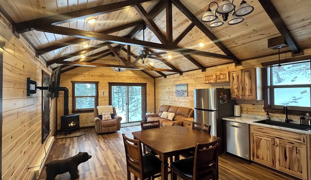 Cozy mountain cabin walk to ski area!