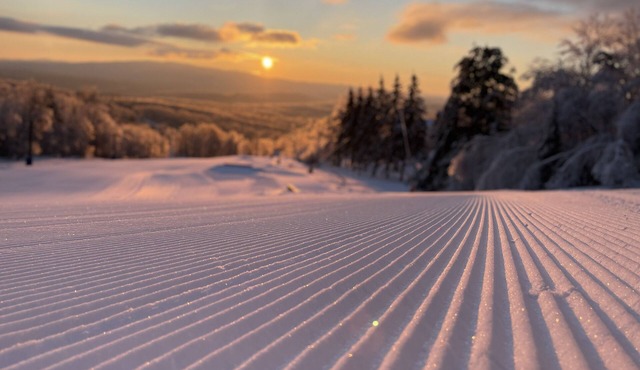 Cozy Mountain Condo - True Ski in Ski out