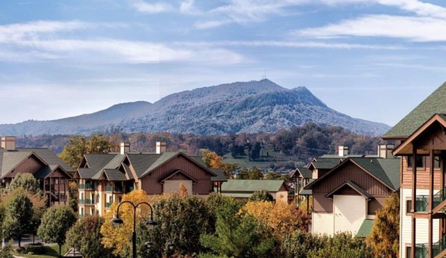 Cozy Mountain Escape at Wyn Smoky Mountains - 1 Bd. – Family Fun Near Dollywood