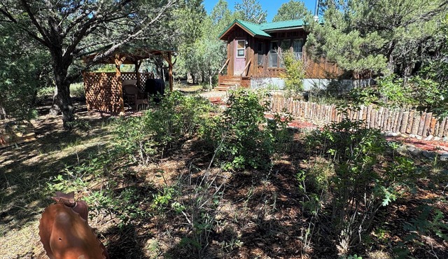 Cozy Mountain Hermitage Cabin