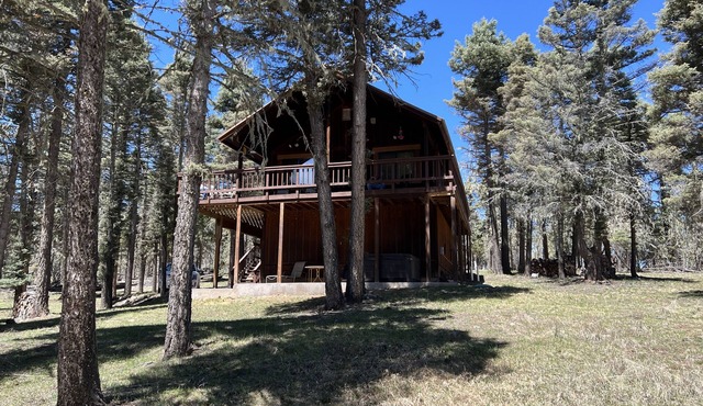 Cozy Mountain House convenient to all activities.