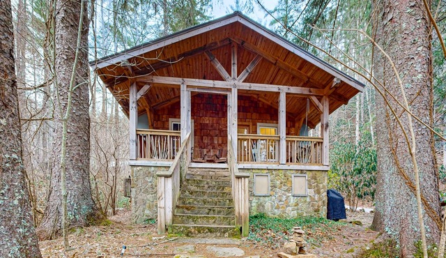 Cozy Mountain Lakeside Cabin with hot tub, jon boat + dog friendly