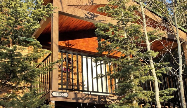 Cozy Mountain Paradise