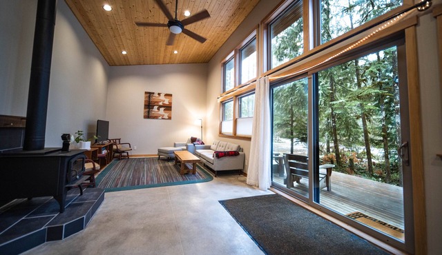 Cozy mountain retreat in the forest-close to Mt Baker Ski Area and pet friendly!