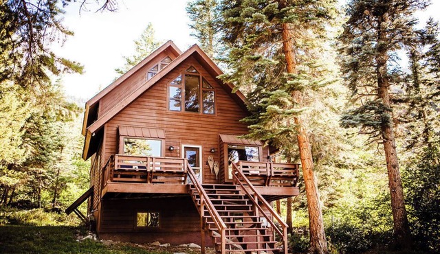Cozy mountain retreat minutes from Downtown Ouray!