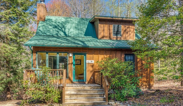 Cozy Mountain Top Cabin 13 Acres Near Dupont State Forest-Pet Friendly-Wifi- EV