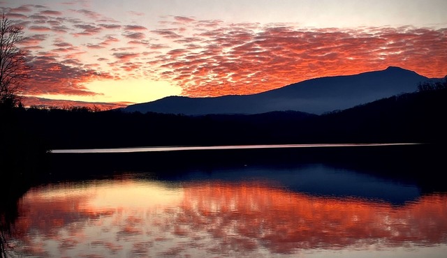 Cozy Mountain Cabin with pond one mile from the Blue Ridge Parkway