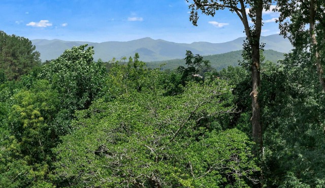 Cozy Mountain View Chalet