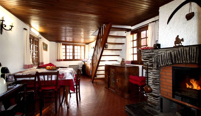 Cozy mountain village house.