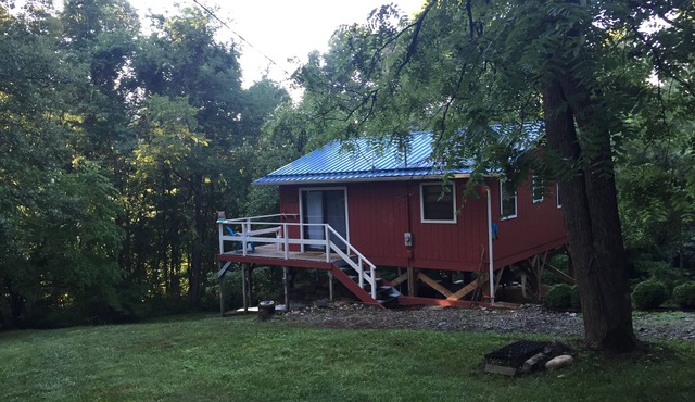 Cozy Mountainside Cabin 3400' Near Asheville NC