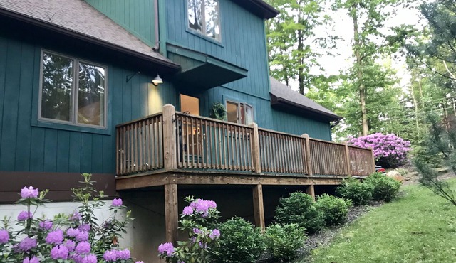Cozy mountainside retreat with lake access to recharge or relax! Kayaks, canoes