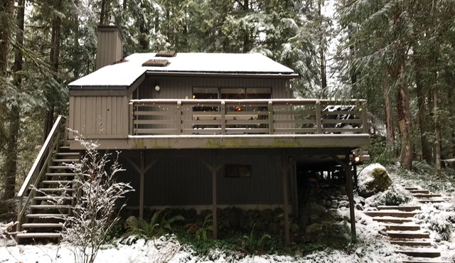 Cozy Mt Baker SnowLine Cabin
