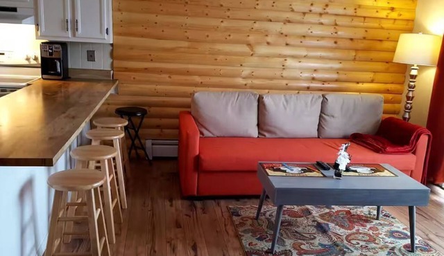 Cozy mtn condo w/hot tub/pool. Close to major ski resorts; Dillon amphitheater