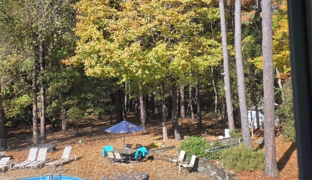 Cozy N. Raleigh Apt. with Pool and Hot Tub. Pets welcome BBQ Grill, TV & movies