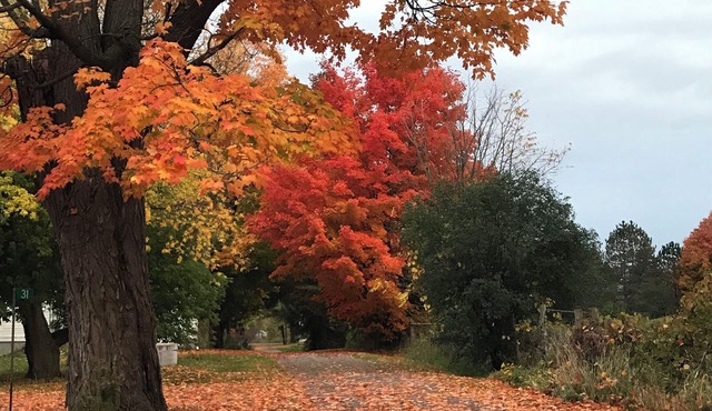 Cozy Nature Retreat 12 minutes from Peterborough- Perfect for Writers & Artists