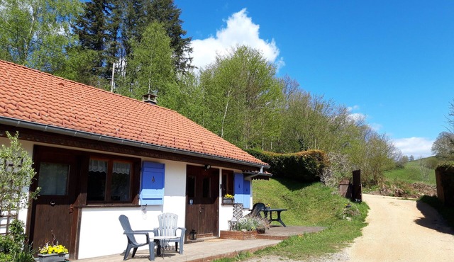 Cozy nest surrounded by nature