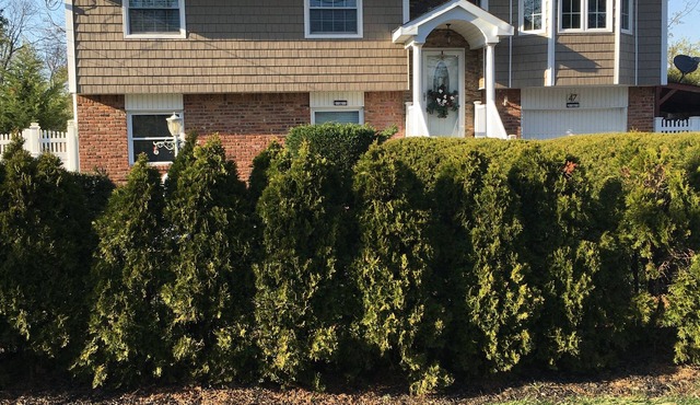 Cozy Nesting Getaway