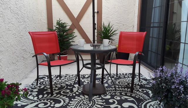 Cozy, New, clean studio in North Tampa