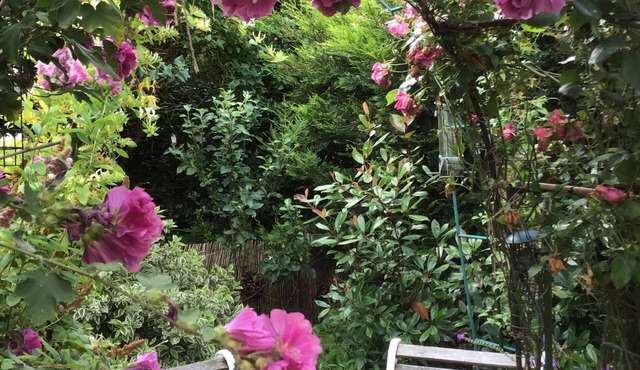 Cozy Nook Cottage - Sleeps 4, Garden & Parking