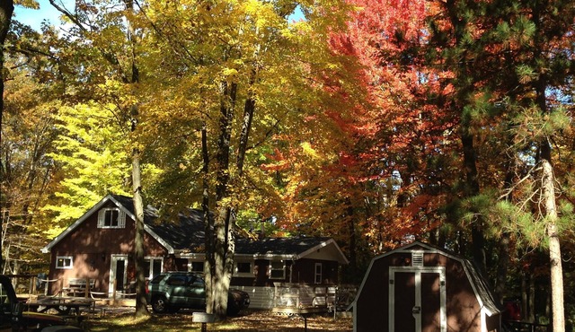 Cozy Northwoods Cabin