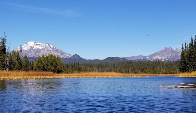 Cozy NW Escape Close To River Access.Dog Friendly /Hot Tub