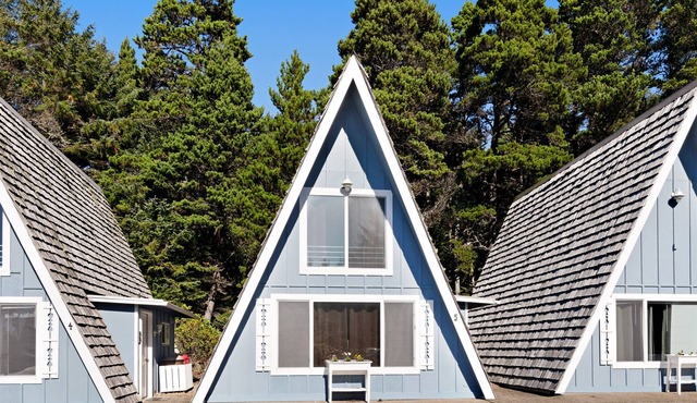Cozy Oceanfront A-Frame Chalet with WiFi & Terrific Views