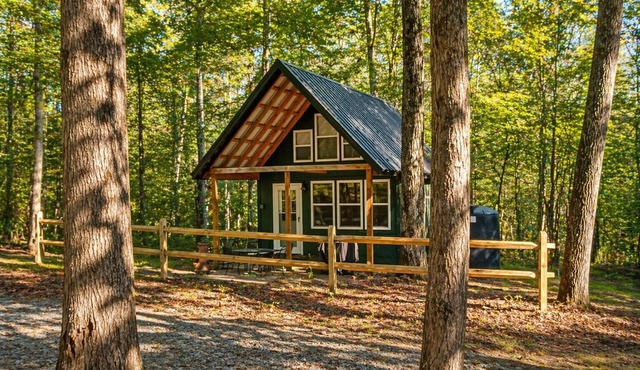 Cozy off grid 1-bedroom cabin in the Appalachian Hills Wildlife Area