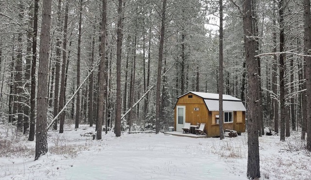 Cozy Off Grid cabin open year round in charming Ely.