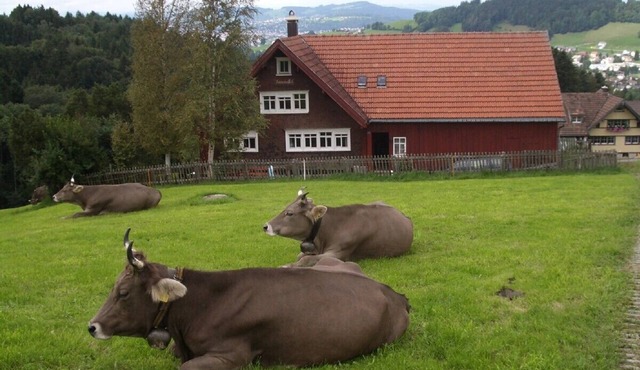 Cozy old Appenzeller farmhouse to live alone