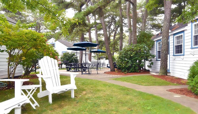 Cozy one bedroom cottage, 50 feet from the beach in OOB.