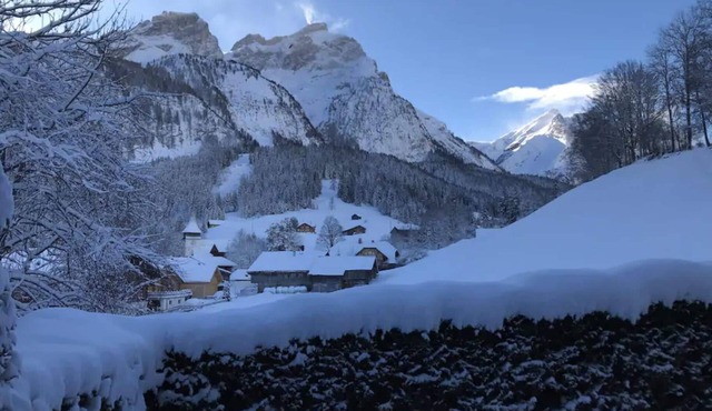 Cozy One Bedroom Flat In Gsteig