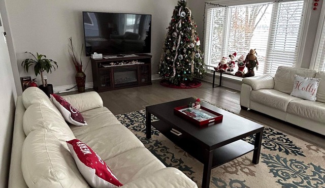 Cozy Ottawa River Retreat: Festive Decor, Fireplace, & Scenic Views Await
