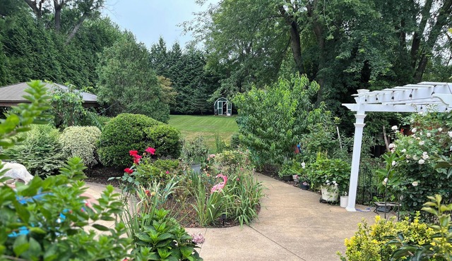 Cozy paradise, full privacy, pool, gorgeous back yard, free parking!