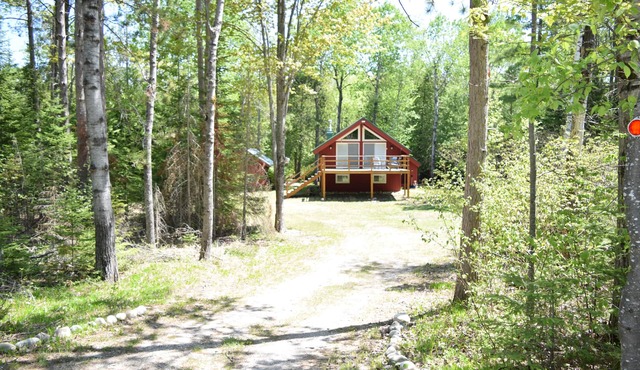Cozy, peaceful chalet tucked in the woods! 2 miles from the beach on Lake Huron.