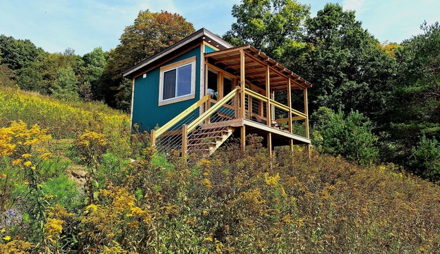 "Cozy, Peaceful Tiny House with Mountain Views, Short Walk from Parking"