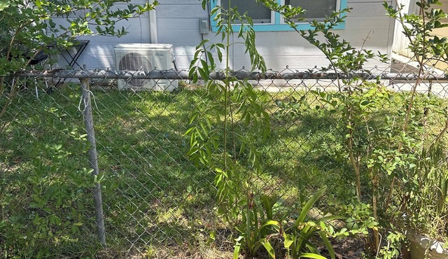 Cozy, peaceful, very clean, you can work or just get away, weekly or monthly.