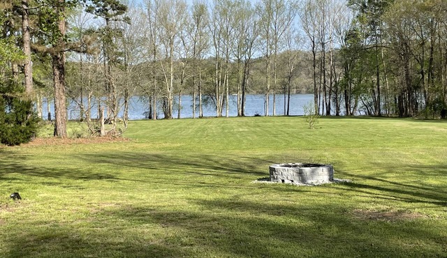 Cozy , Peaceful Waterfront Cabin in Beautiful Waterloo, AL!