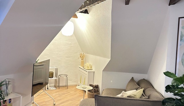 Cozy penthouse apartment located on Frederiksbjerg in Aarhus c