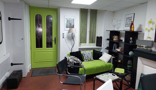 Cozy pet-friendly city home with shared courtyard and free WiFi in Vailly-sur-Sauldre