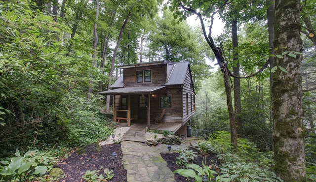 Cozy Pet-Friendly Cabin w/Hot Tub, River Views, 20 Min to AVL +Biltmore Pass