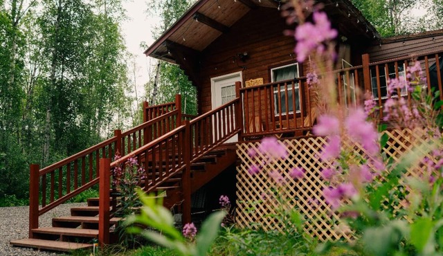 Cozy pet friendly cabin with stand alone sauna near Willow and Talkeetna Alaska