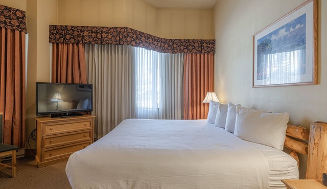 Cozy Pet-Friendly King Studio in Mt. Crested Butte - No Cleaning Fee! by RedAwning