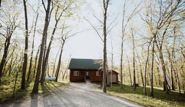 Cozy Pettinger Cabin @ Highest Elevation in CTY