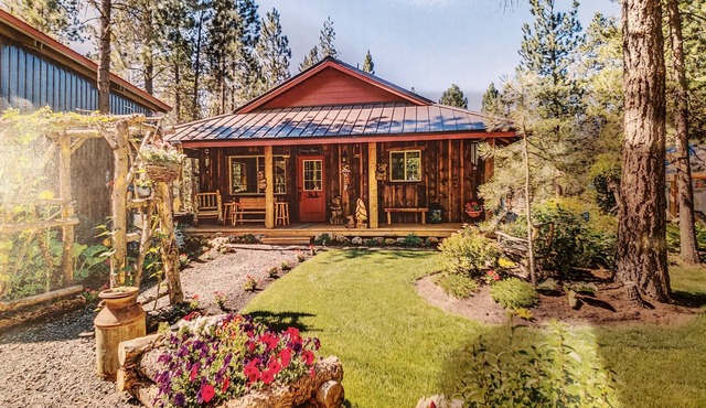 Cozy Pinecone Cabin, Couples Retreat, hot tub, pet friendly, private!