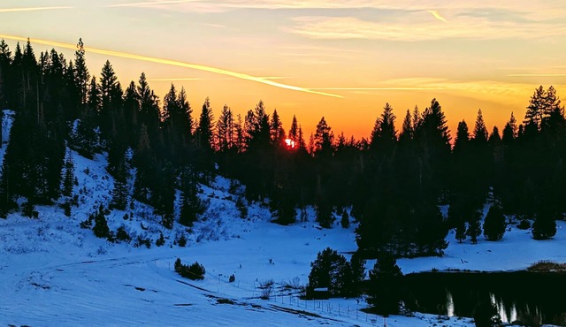 Cozy Pinecrest-Dodge Ridge Area Summer/Winter Fun Resort with King-Size Bed!